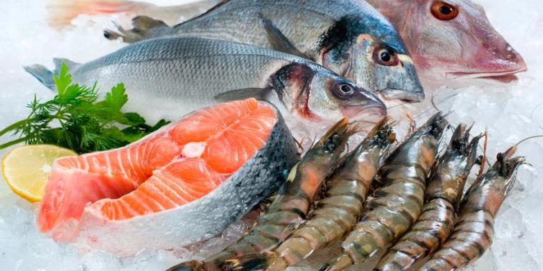 76 Koleksi Gambar Binatang Laut Halal Gratis Terbaru