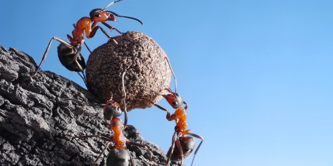 Keistimewaan dan Kemuliaan dalam Bekerja